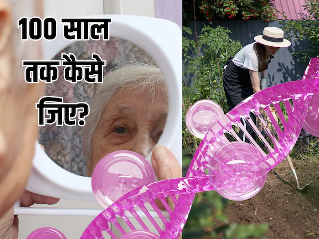 Tips To Live A Long Life: 100 साल तक जिंदा रहने का नेचुरल तरीका, एंटी-एजिंग दवा की तरह काम करती हैं ये 6 हॉबीज