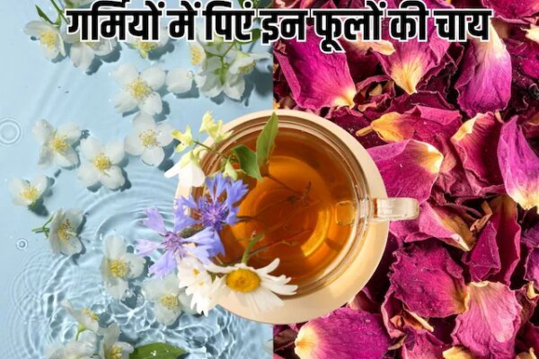 Herbal Flower Tea: चमेली से गुलाब तक, गर्मियों में पिएं इन 10 फूलों की चाय, पूरे दिन बनी रहेगी ताजगी और एनर्जी