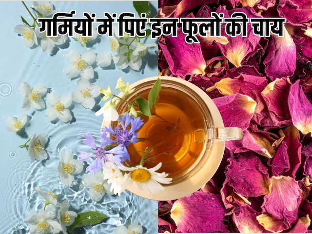 Herbal Flower Tea: चमेली से गुलाब तक, गर्मियों में पिएं इन 10 फूलों की चाय, पूरे दिन बनी रहेगी ताजगी और एनर्जी