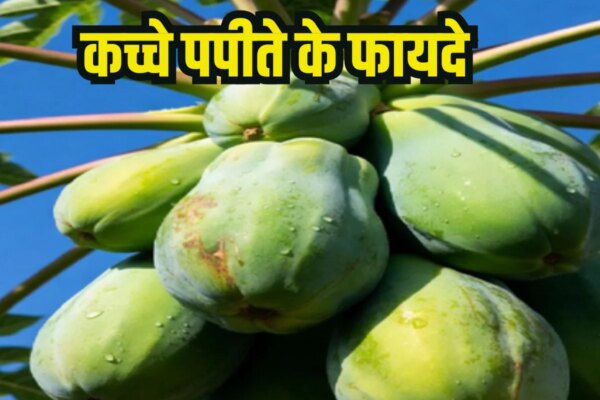 शरीर की सूजन और गंदगी को बाहर करेगा कच्चा पपीता, लेकिन खाने से पहले जान लें ये जरूरी बातें