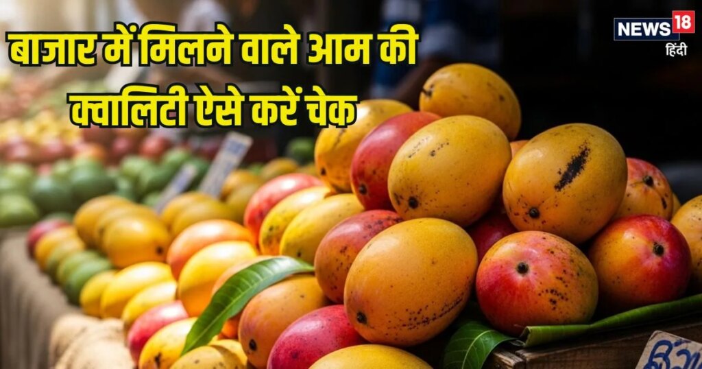 बाजार में मिलने वाला आम नेचुरल तरीके से पका है या कार्बाइड से, ऐसे करें पहचान, खा सकेंगे मीठे, रसीले Mango