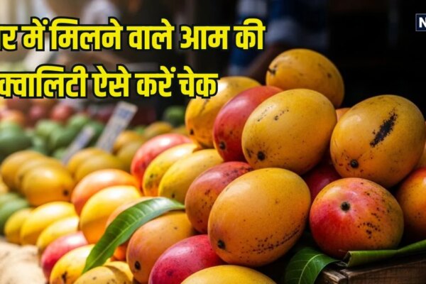 बाजार में मिलने वाला आम नेचुरल तरीके से पका है या कार्बाइड से, ऐसे करें पहचान, खा सकेंगे मीठे, रसीले Mango