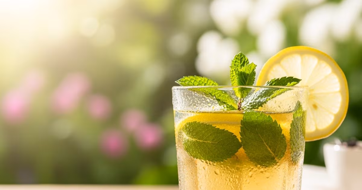 बार-बार प्यास और थकान? जौ का पानी दे सकता है राहत, एनर्जी, ठंडक और पाचन के लिए परफेक्ट ड्रिंक