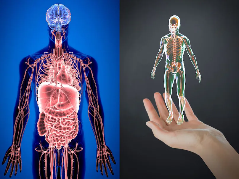 Good Health Signs : ये 10 संकेत बताते हैं कि आप पूरी तरह से हेल्दी हैं, यहां कीजिए अपनी परीक्षा