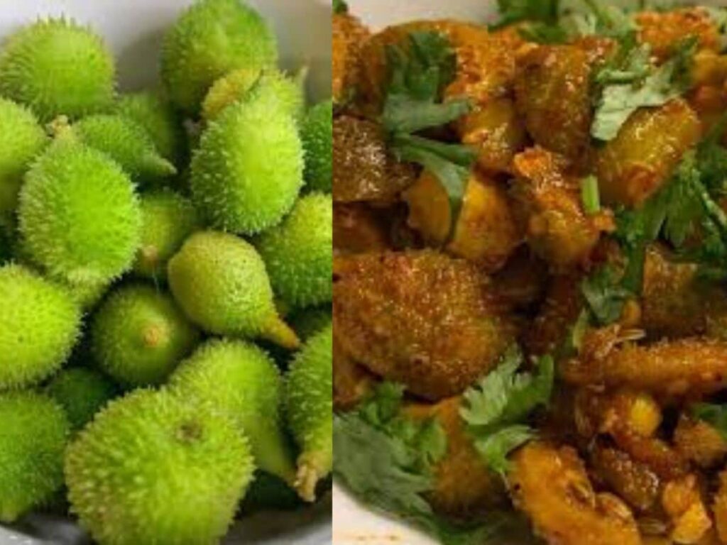 Spiny Gourd: दुनिया की सबसे ताकतवर सब्जी ‘कंटोला’ के बारे में जानते हैं? इस महीने मिलती है, ब्लड शुगर को तुरंत कर सकती है कंट्रोल