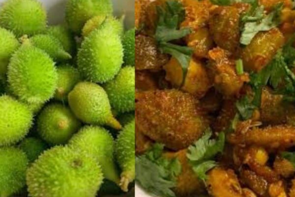 Spiny Gourd: दुनिया की सबसे ताकतवर सब्जी ‘कंटोला’ के बारे में जानते हैं? इस महीने मिलती है, ब्लड शुगर को तुरंत कर सकती है कंट्रोल