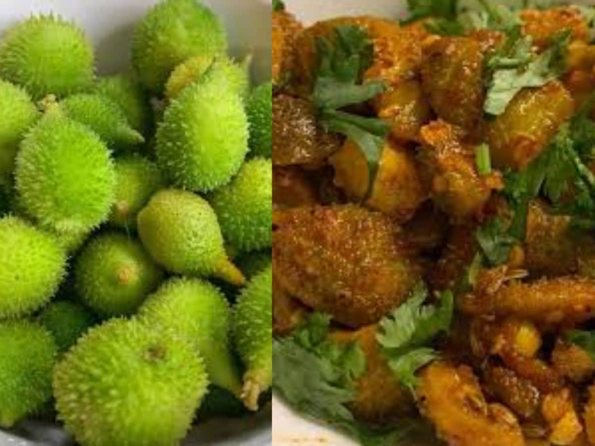 Spiny Gourd: दुनिया की सबसे ताकतवर सब्जी ‘कंटोला’ के बारे में जानते हैं? इस महीने मिलती है, ब्लड शुगर को तुरंत कर सकती है कंट्रोल
