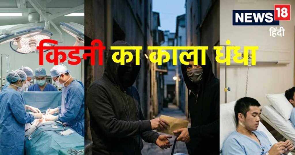 ये हैं भारत के टॉप-4 किडनी कांड, कैसे होता है कारोबार? कहां से आते हैं डोनर-मरीज, समझें पूरा खेल