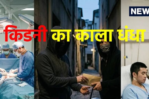 ये हैं भारत के टॉप-4 किडनी कांड, कैसे होता है कारोबार? कहां से आते हैं डोनर-मरीज, समझें पूरा खेल