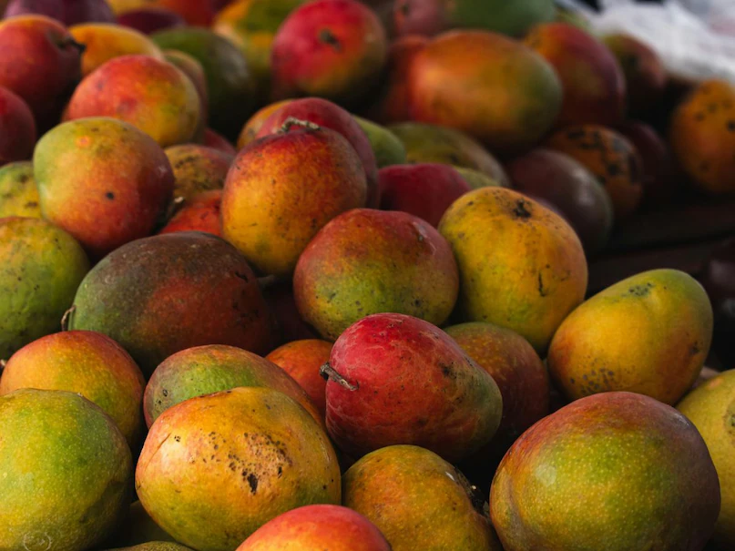 गर्मियों में आम का सही चुनाव कैसे करें? लू से बचाव और एनर्जी होगी बूस्ट, जानिए डाइटीशियन की राय