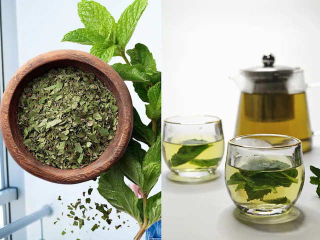 शरबत-चटनी या फिर सलाद, किसी भी तरह से खा लें हरे पत्ते, गर्मियों में नहीं फटकेंगी आसपास भी बीमारियां