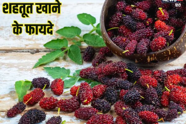 Shahtoot ke fayde: गर्मियों में हेल्दी रहने के लिए अनमोल खजाना है शहतूत, खाने से होते हैं कई फायदे