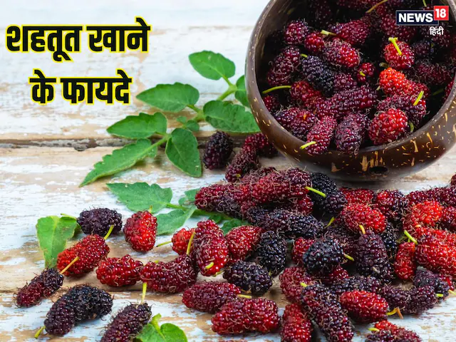Shahtoot ke fayde: गर्मियों में हेल्दी रहने के लिए अनमोल खजाना है शहतूत, खाने से होते हैं कई फायदे