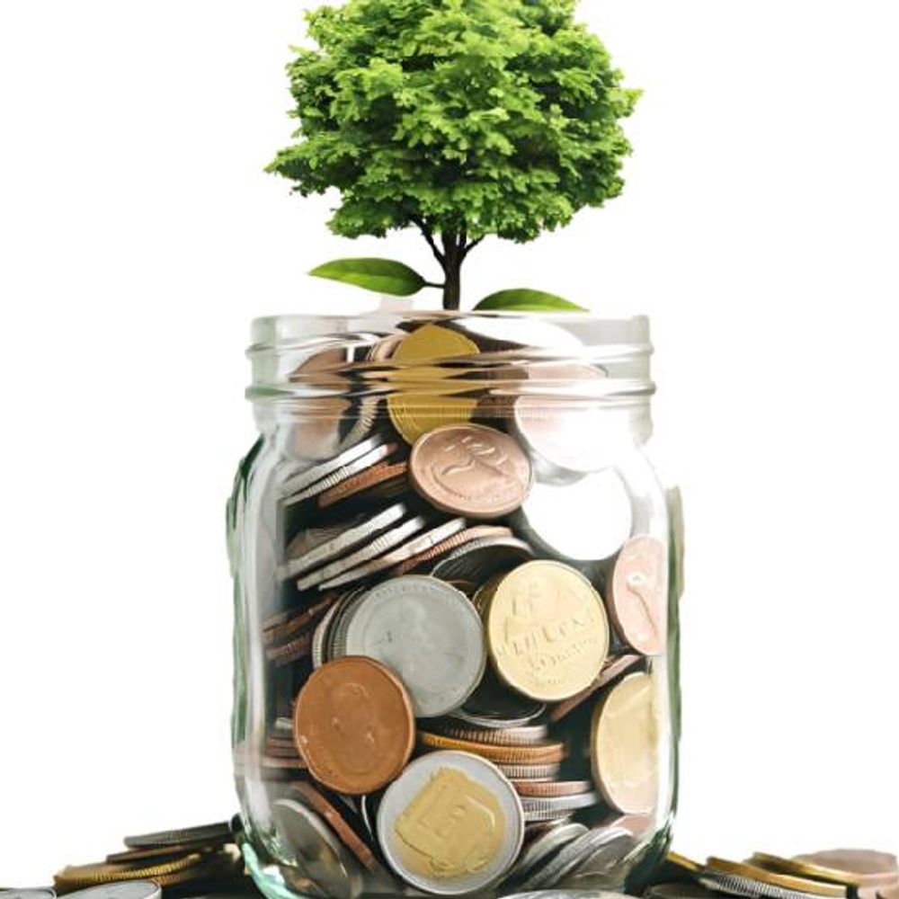 लग्जरी निवेश स्थिर; दुर्लभ-पुरानी चीजों में 13% तक बढ़ा:अब निवेशक सिर्फ उन्हीं संपत्तियों में पैसा लगा रहे, जिनकी ऐतिहासिक अहमियत है