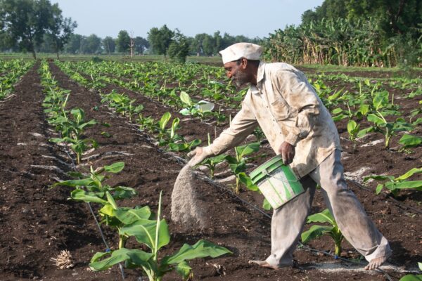India Fertilizer Production Crisis Reason; Iran War – LNG Supply