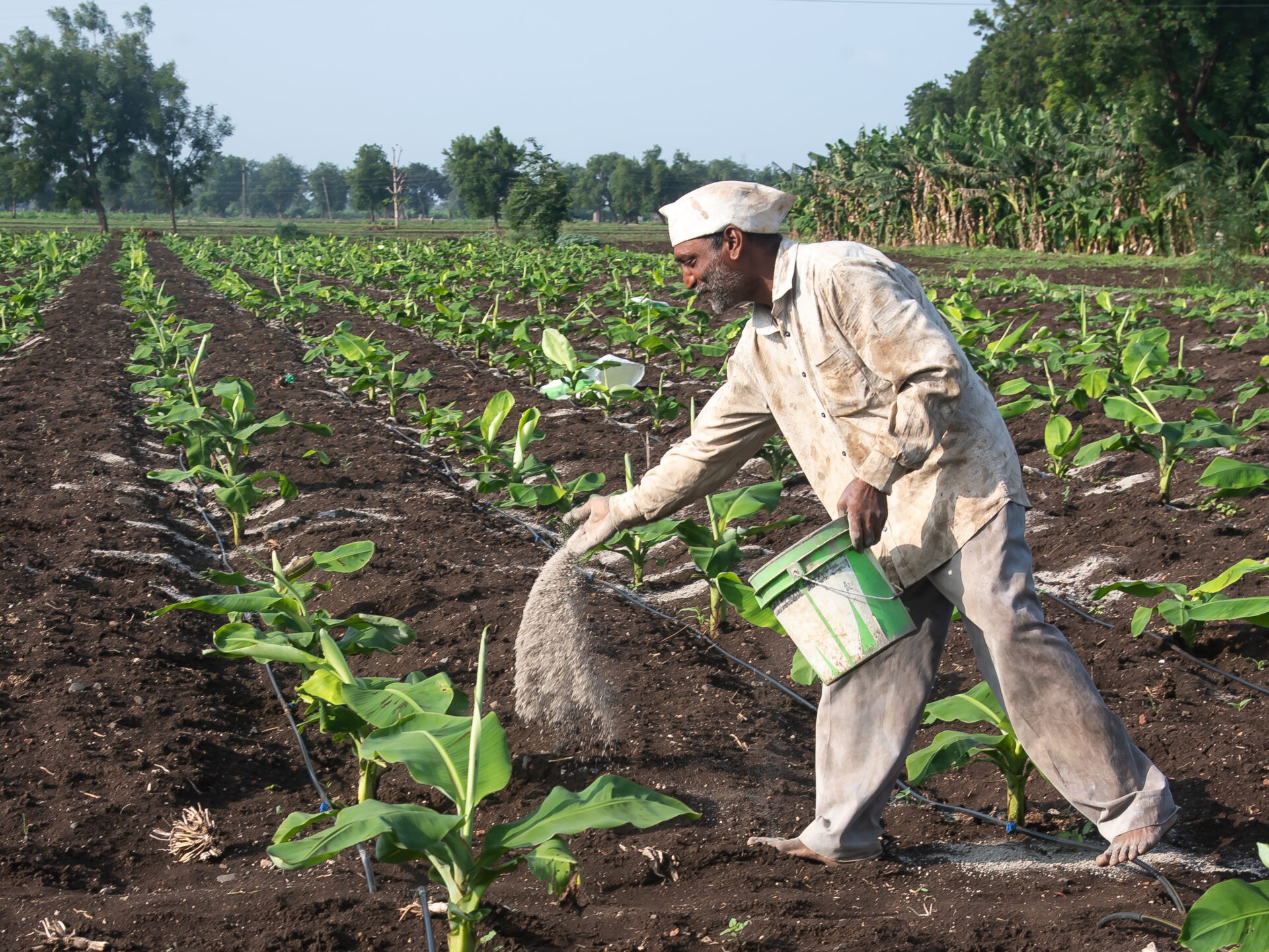 India Fertilizer Production Crisis Reason; Iran War – LNG Supply