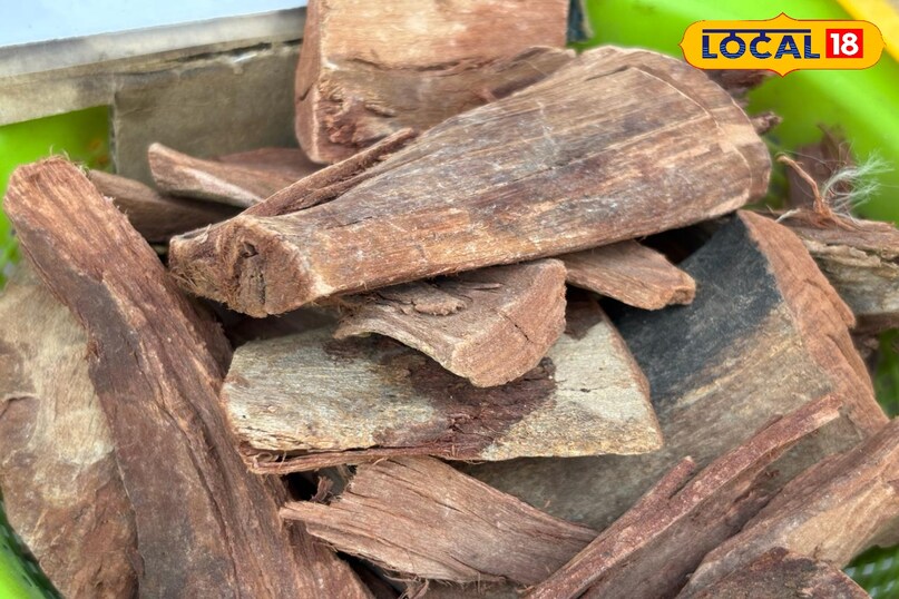 अर्जुन की छाल के फायदे I health benefits of arjun chhaal