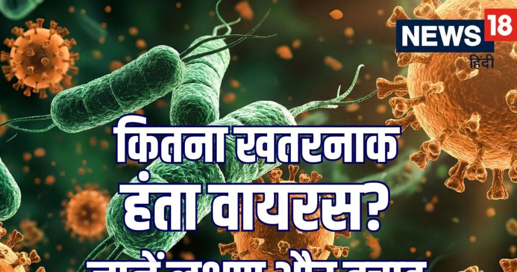क्या है हंता वायरस जिसने ली 3 लोगों की जान? जानें इस घातक वायरस के लक्षण और बचाव से जुड़ी जानकारी