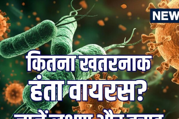 क्या है हंता वायरस जिसने ली 3 लोगों की जान? जानें इस घातक वायरस के लक्षण और बचाव से जुड़ी जानकारी