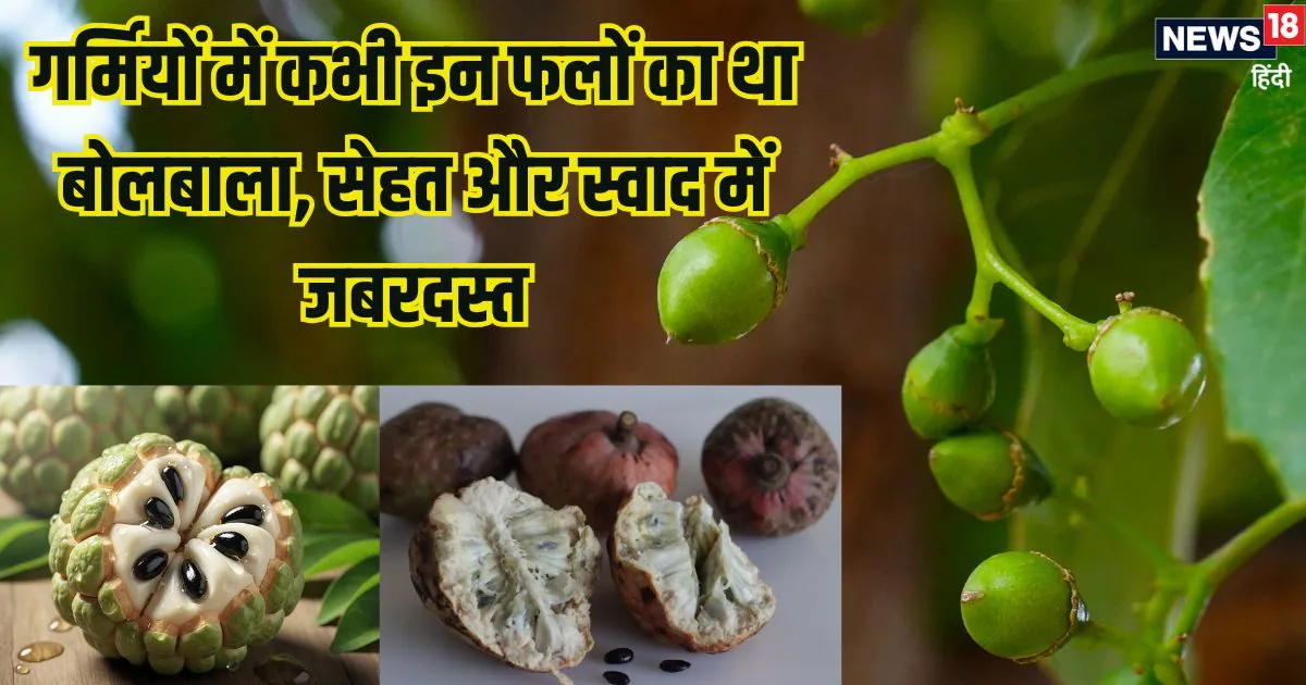 भारत में मिलने वाले ये 10 गर्मियों के फल, जिन्हें आप भुला चुके हैं, फायदे और स्वाद में जबरदस्त, आपके फलों की लिस्ट में हैं शामिल?