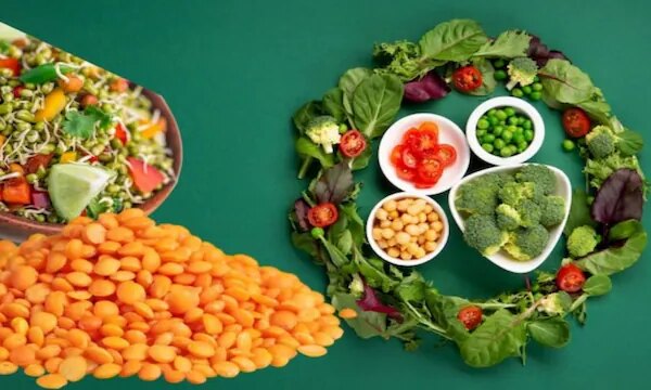सिर्फ 1500 कैलोरी में 120 ग्राम प्रोटीन! सोशल मीडिया इन्फ्लुएंसर की डाइट देखकर लोग रह गए हैरान