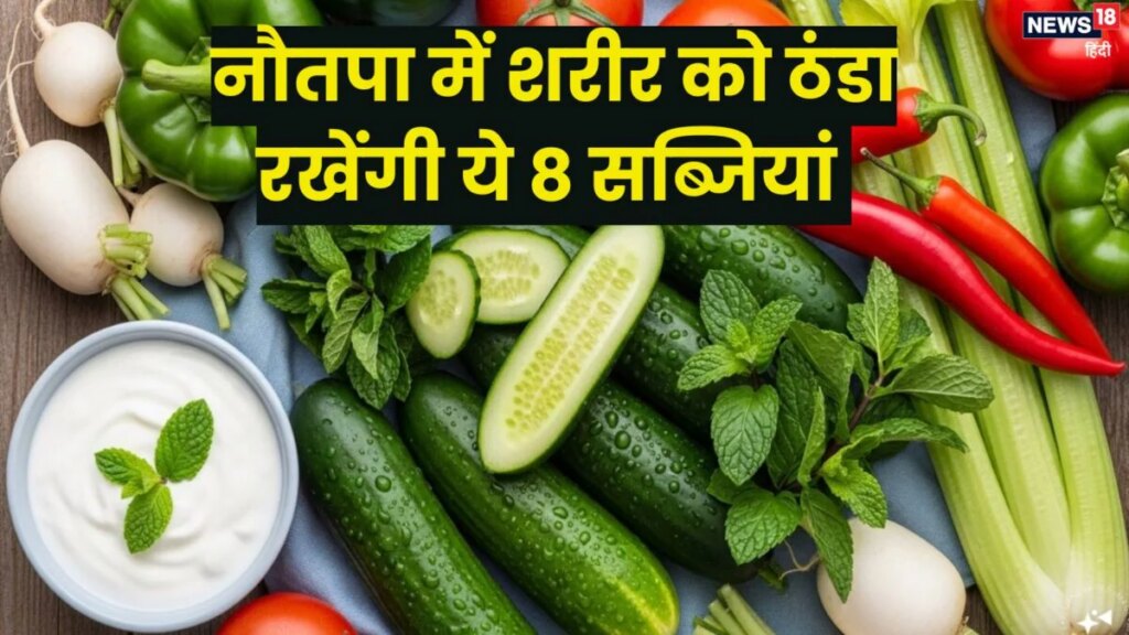 नौतपा में खाएं ये 8 सब्जियां, तासीर में होती हैं ठंडी, शरीर रहेगा ठंडा, लू और डिहाइड्रेशन से होगा बचाव