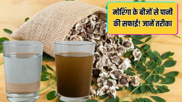 Natural way to purify drinking water| पीने का पानी साफ करने का नेचुरल तरीका