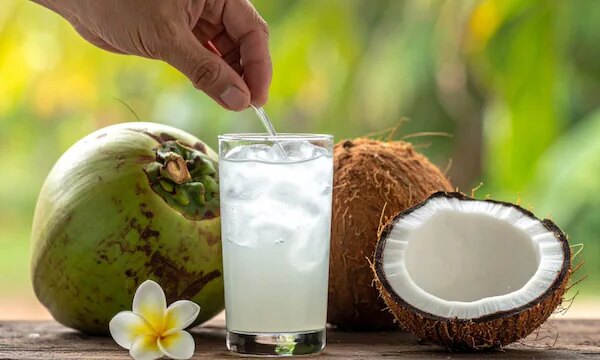 नारियल पानी में नींबू और नमक मिलाकर पीने से क्या होगा? ऐसा करना फायदेमंद या नुकसानदायक