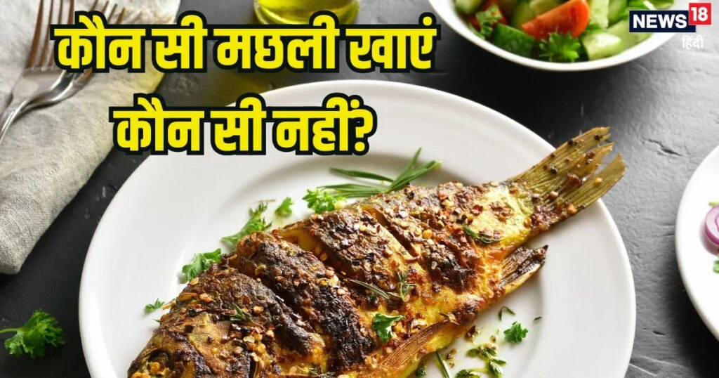 इन 8 मछलियों को खाना है बेहद फायदेमंद, प्रोटीन से होती हैं भरपूर, ये 6 फिश गलती से भी डाइट में न करें शामिल