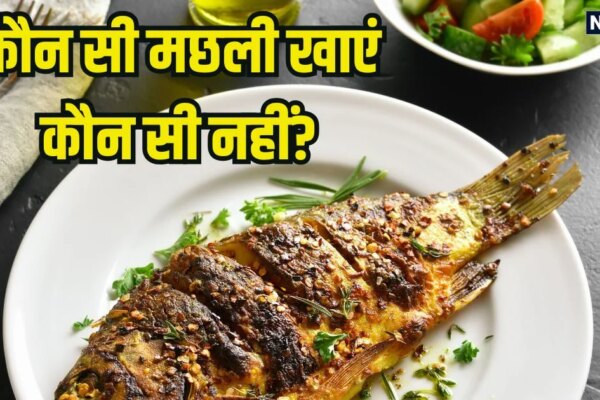 इन 8 मछलियों को खाना है बेहद फायदेमंद, प्रोटीन से होती हैं भरपूर, ये 6 फिश गलती से भी डाइट में न करें शामिल