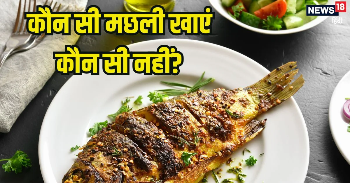 इन 8 मछलियों को खाना है बेहद फायदेमंद, प्रोटीन से होती हैं भरपूर, ये 6 फिश गलती से भी डाइट में न करें शामिल