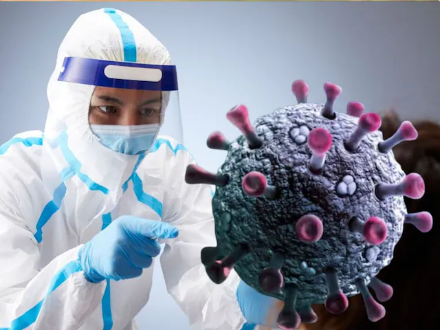 Hantavirus Update: कोविड के बाद क्या हंता वायरस बरपाने वाला है महामारी बनकर कहर? WHO ने तोड़ी चुप्पी, जानें जवाब