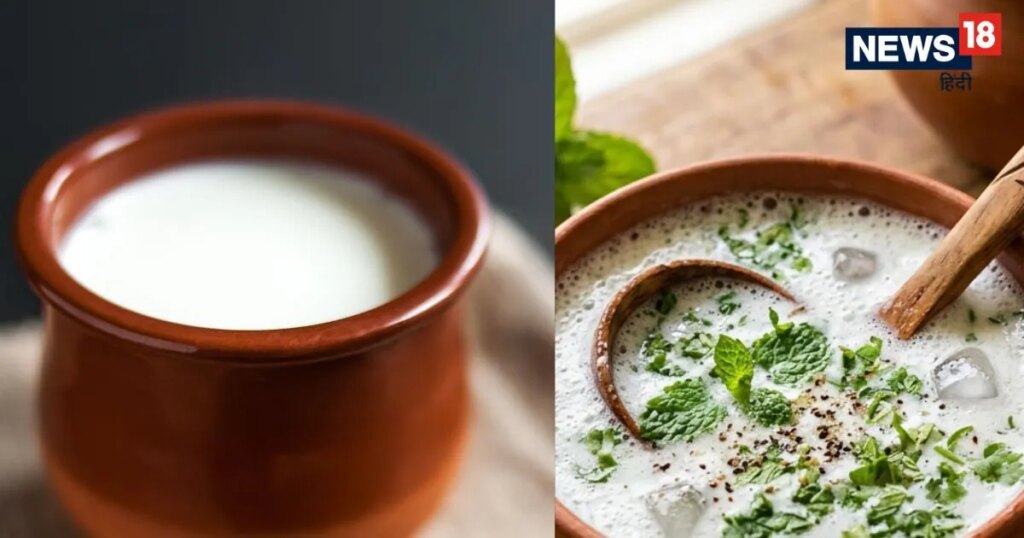 दही बेहतर है या छाछ? पेट की ठंडक के लिए किसका करें सेवन; जानें आपके शरीर के लिए कौन सा विकल्प है बेस्ट