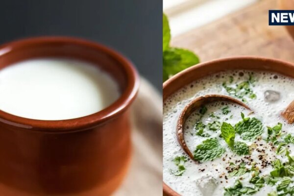 दही बेहतर है या छाछ? पेट की ठंडक के लिए किसका करें सेवन; जानें आपके शरीर के लिए कौन सा विकल्प है बेस्ट