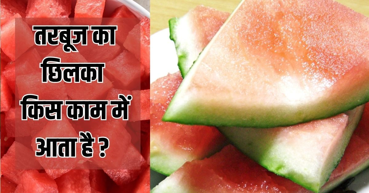 Kitchen Tips: कचरा नहीं तरबूज का छिलका! जापान में खरीदकर घर ले जा रहे लोग, कारण जान चौंक जाएंगे