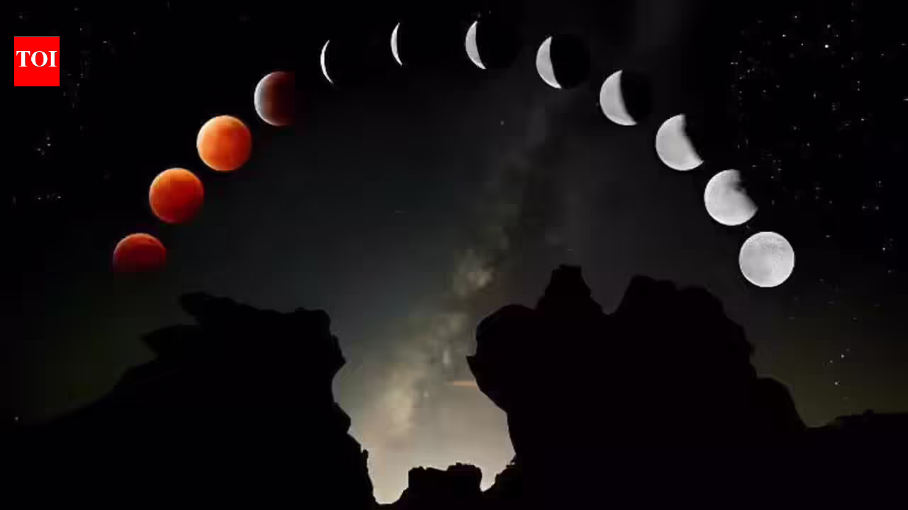 1782647363_photo.jpg