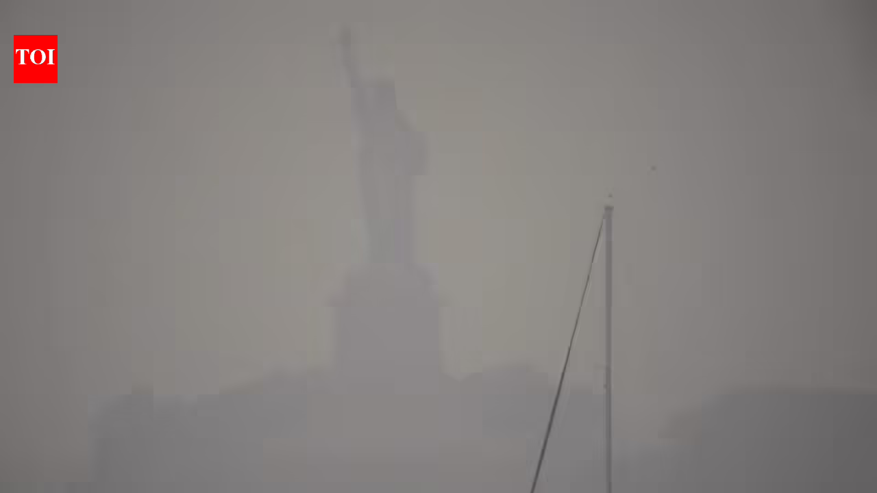 1784302798_photo.jpg