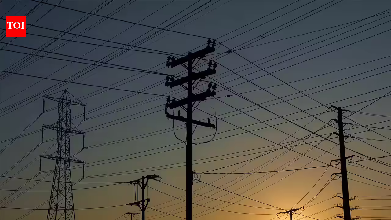 1784383603_photo.jpg